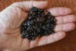 Khadira or Khair (Acacia catechu) resin - Image 3
