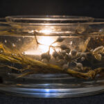 Suspended landscapes 2, Candle holder.