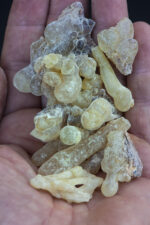 Mohor or Beyo (Boswellia carterii) from Medow of Somaliland - Image 3