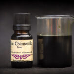 Blue Chamomile (Matricaria chamomilla)