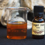 Finger root (Boesenbergia rotunda)