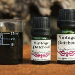 Patchouli vintage (Dark) Pogostemon cablin