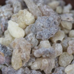 Beyo (Boswellia carterii)