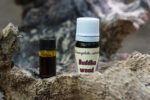 Buddha wood Essential Oil (Eremophila mitchellii) - Image 3
