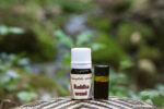 Buddha wood Essential Oil (Eremophila mitchellii)