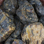 Black Dammar (Canarium strictum)