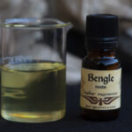 Bengle Essential oil (Zingeber cassumunar) rhizomes
