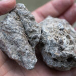 Janawi colophony (Boswellia dalzielii)