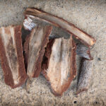 Gnali (Daniellia oliveri) bark