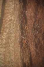 Gnali (Daniellia oliveri) bark - Image 5