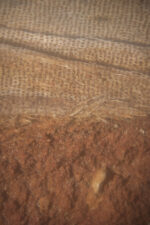 Gnali (Daniellia oliveri) bark - Image 4