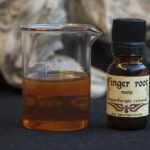 Finger root (Boesembergia rotunda)