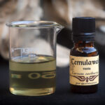 Temulawak (Curcuma zanthorizza)