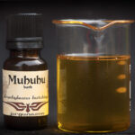 Muhuhu, African Sandalwood (Brachylaena hutchinsii)