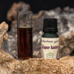 Kapur Kachri (Hedichyum spicatum) rhizomes