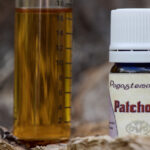Patchouli essential Oil (Pogostemon cablin)