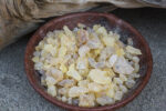 White Copal resin (Shorea wiesneri) - Image 4