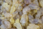 White Copal resin (Shorea wiesneri) - Image 3