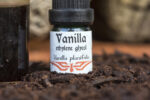 Vanilla extract in glyco-ethyl - Image 5