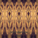 Reflex of a Reverberation