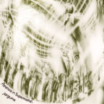 Paranoia in Supermarket