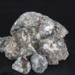 Copal Gris (Bursera bipinnata) old