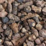 Dyje (Cyperus rotundus) rhizomes