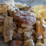 Copal oro (Bursera mycrophylla)