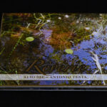 Alio Die & Antonio Testa - Rêverie